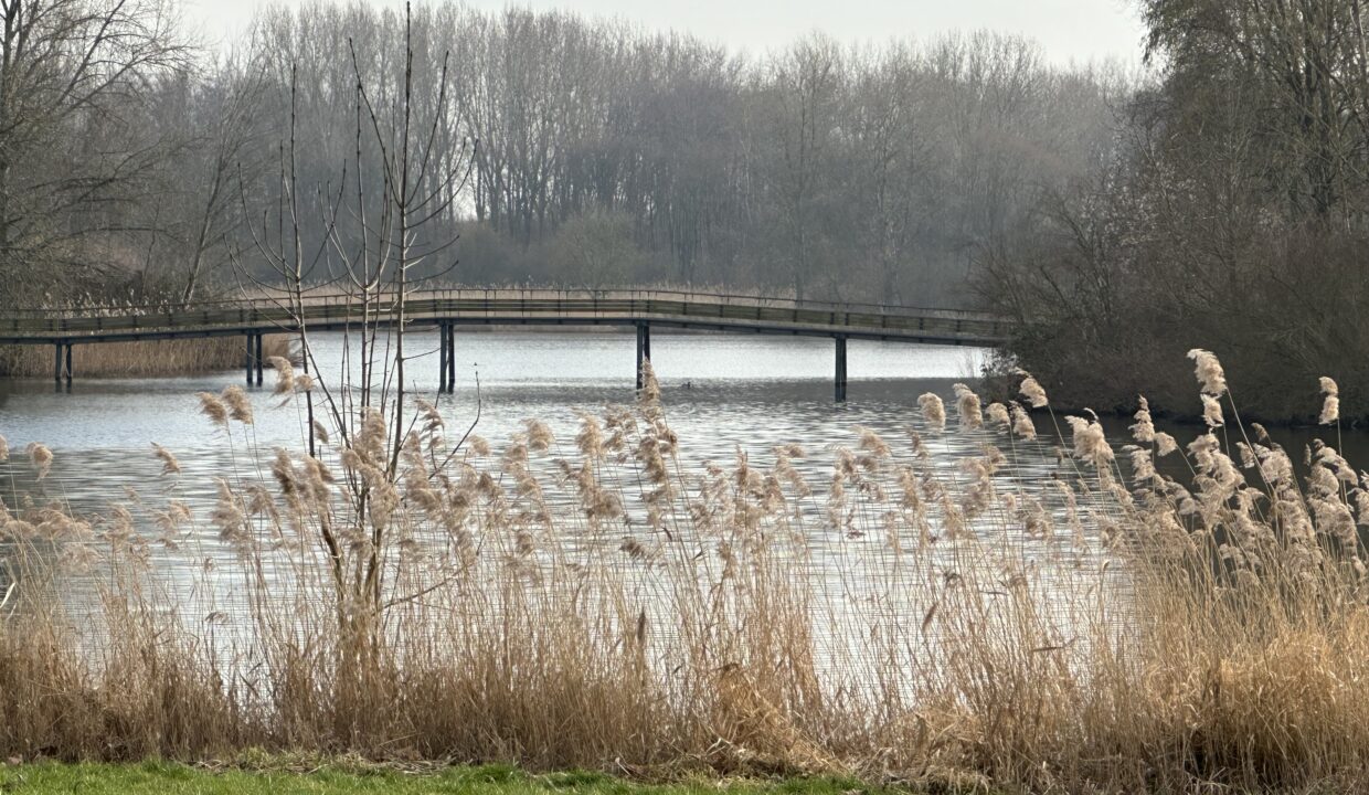 original-1682237649-30