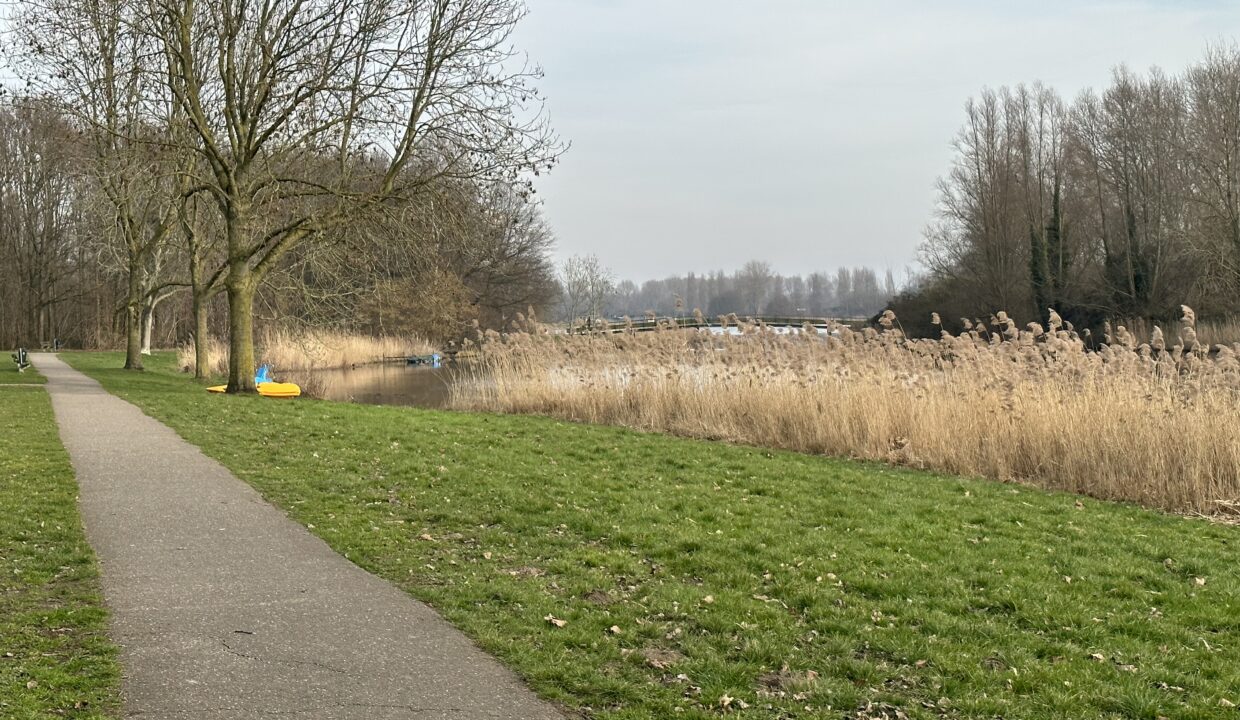 original-1682237659-31